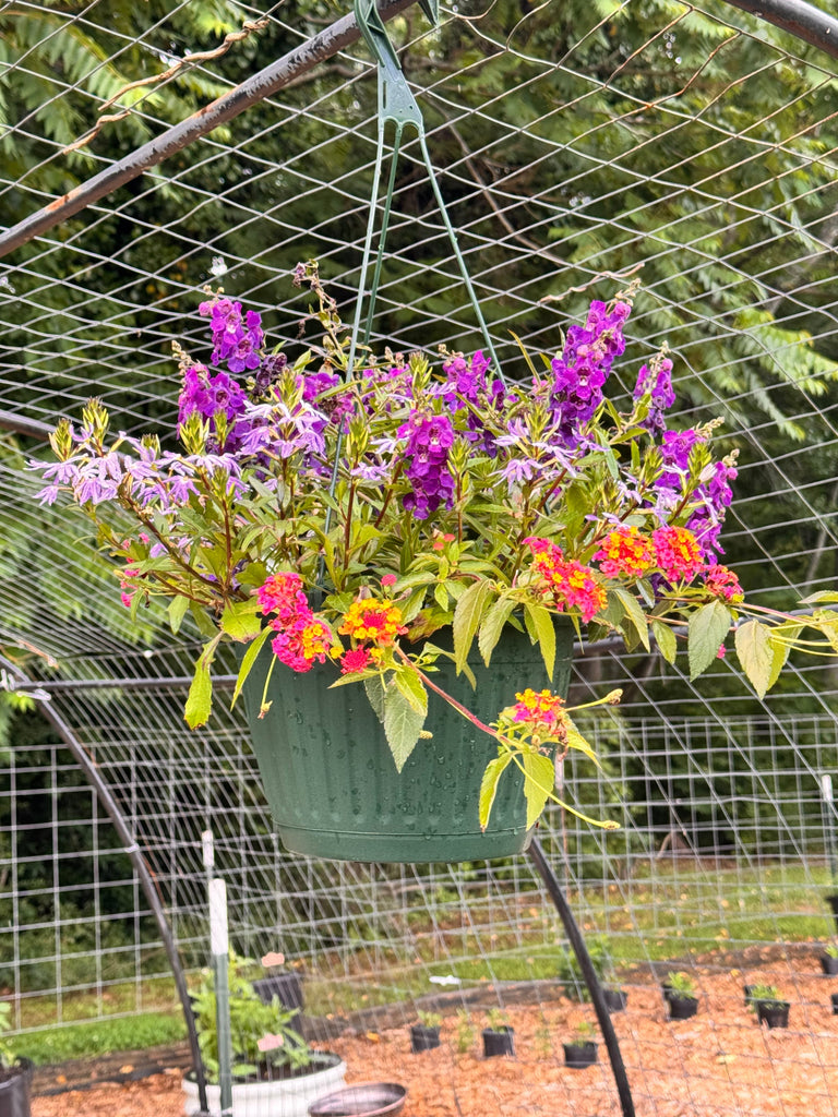 Benefits of Growing Flowers In Your Vegetable Garden